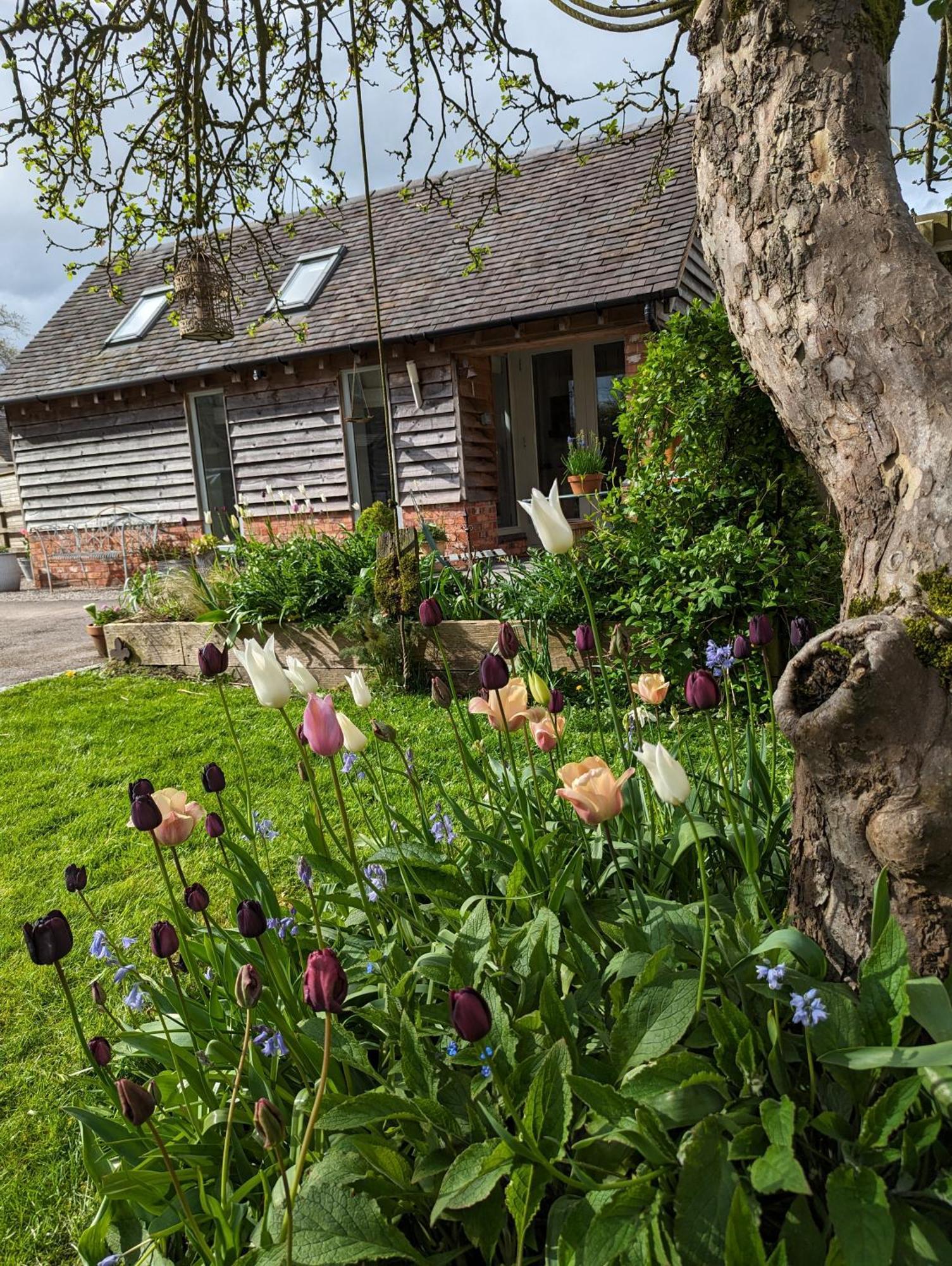 The Dorm Bed And Breakfast Eccleshall Exteriör bild